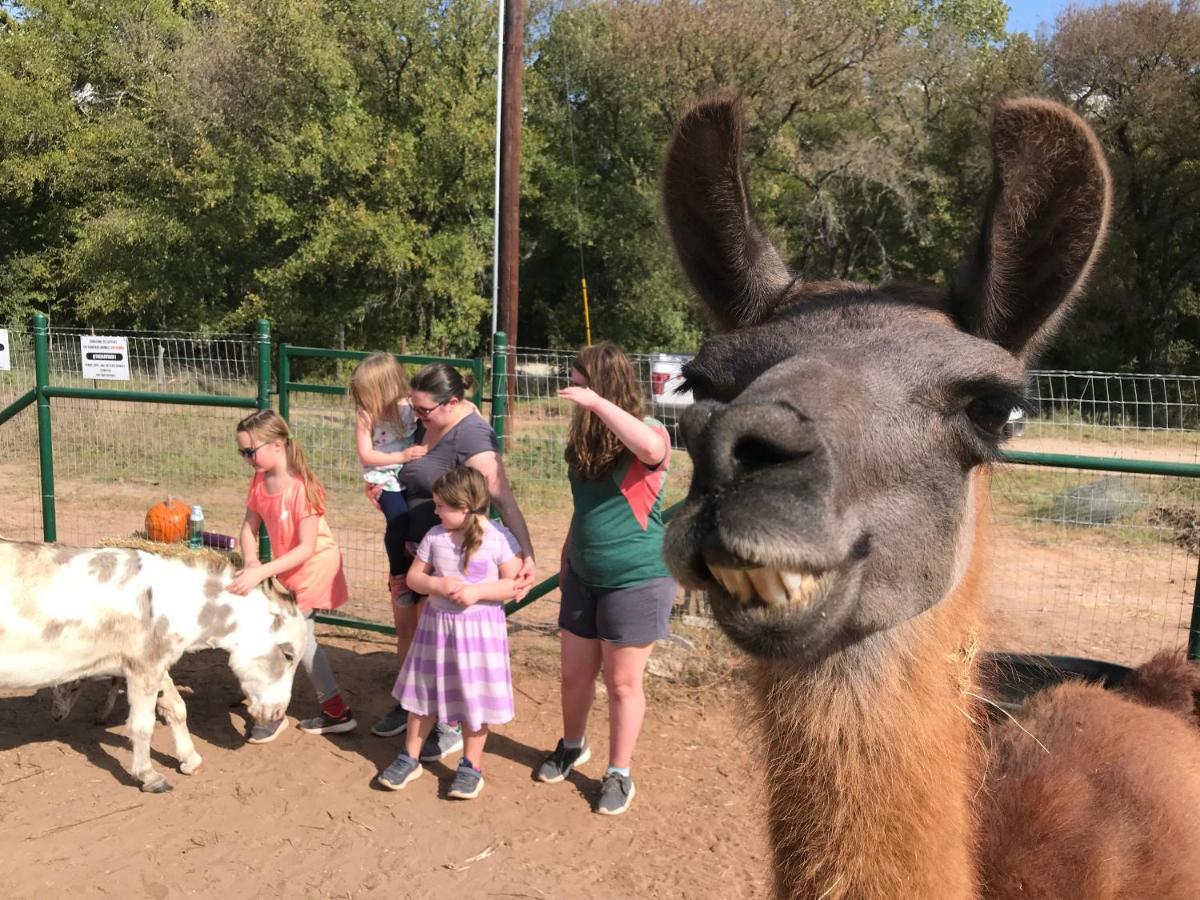 Stay On A 350-Acre Cattle Ranch! Brazos River! Tubing! Petting Zoo! Уэтерфорд Экстерьер фото